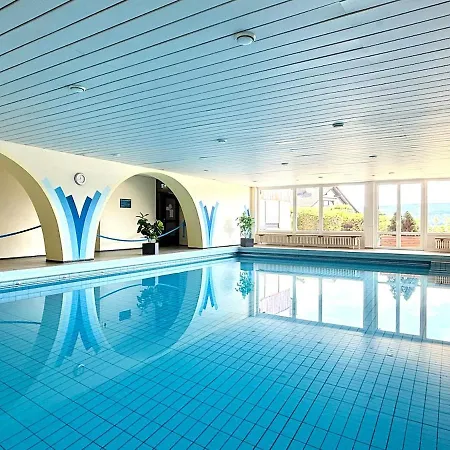 Wellness Loft Mit Pool Und Sauna Apartment Lenzkirch